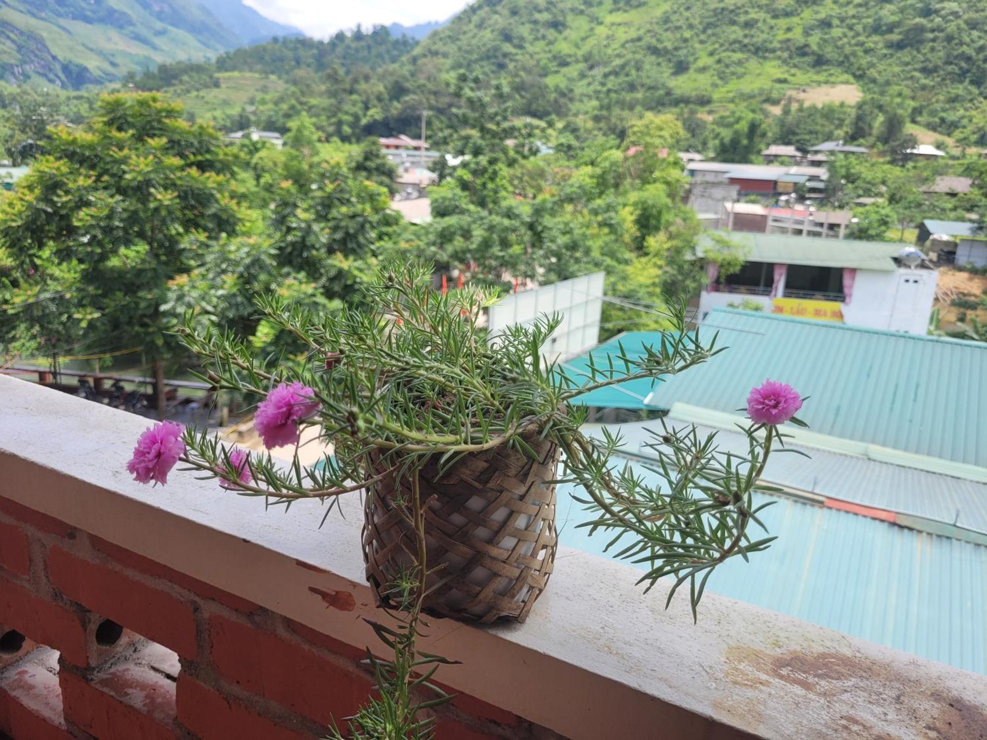Du Gia View